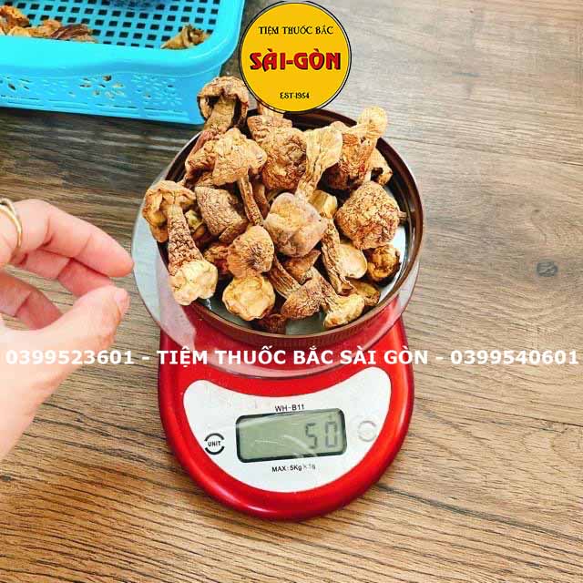 Nấm Tùng Nhung 100gram HÀNG TỰ NHIÊN (Nấm quý nấu canh dưỡng sinh, lẩu nấm, phục hồi sức khỏe)
