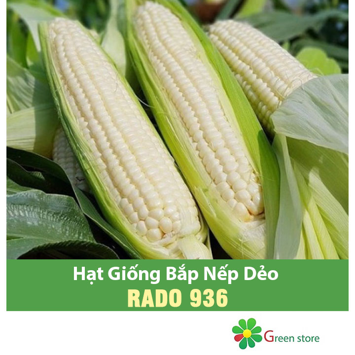 Hạt giống Bắp Nếp Dẻo