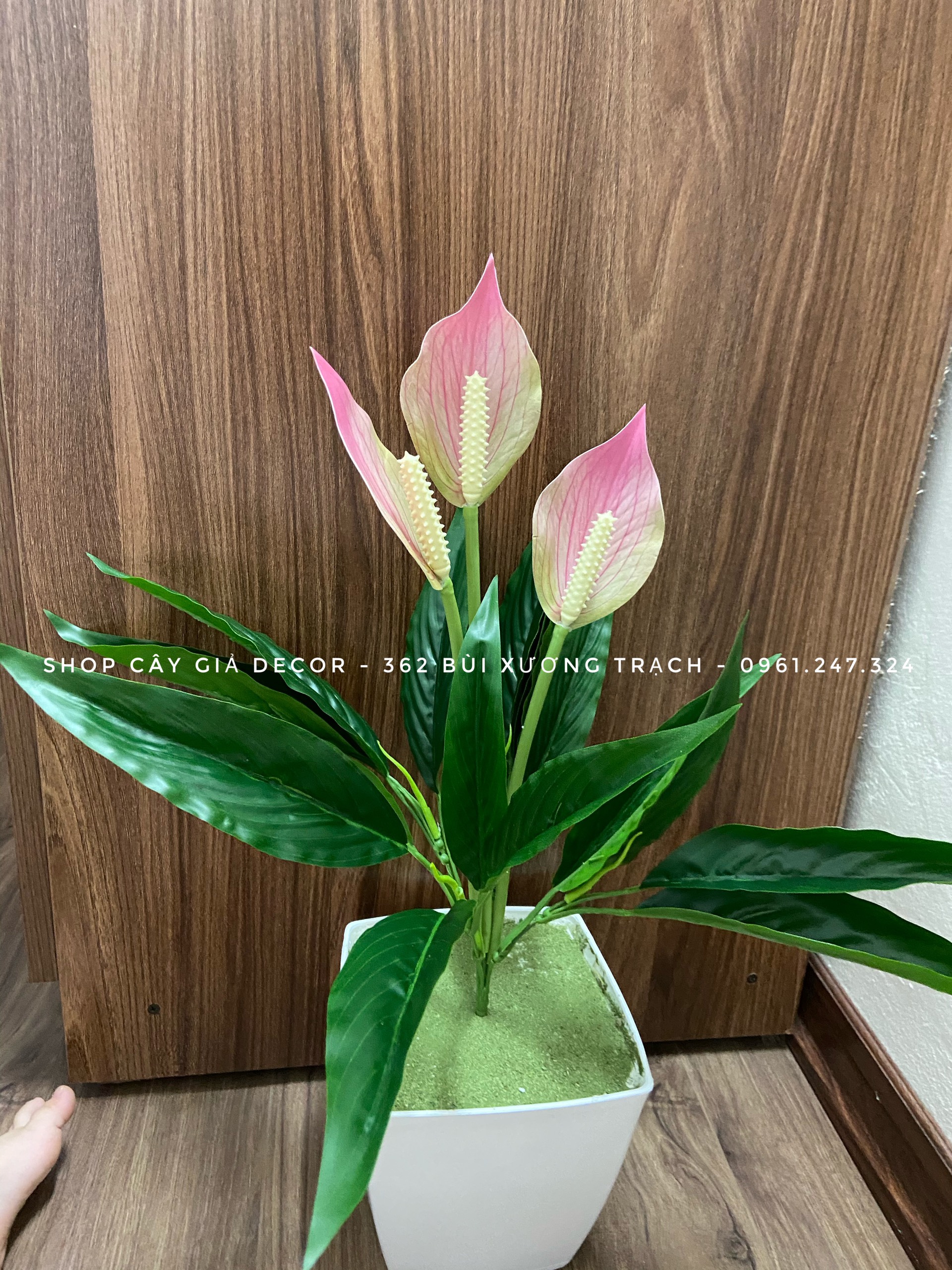 Cây giả - cây lan ý 50cm