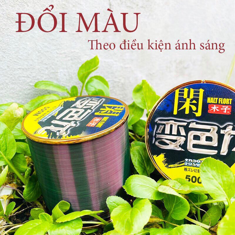 CƯỚC CÂU CÁ TÀNG HÌNH 500 MÉT