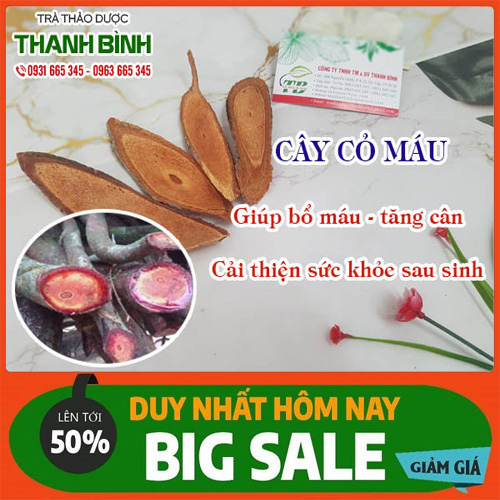 Cây Cỏ Máu Khô 500g Hàng Công Ty - Dược Liệu Thanh Bình
