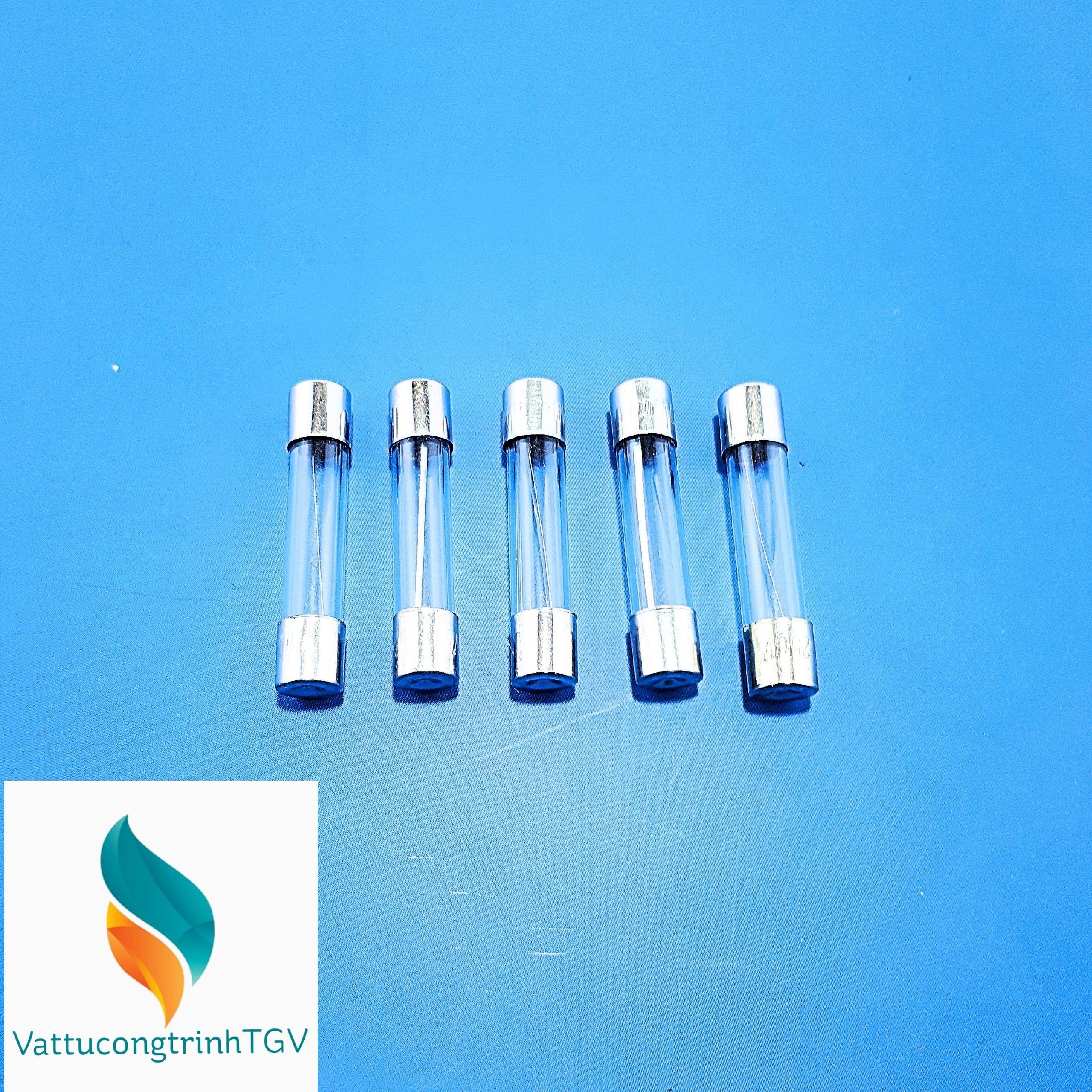 Bộ 5 cầu chì 5A (30x6mm)