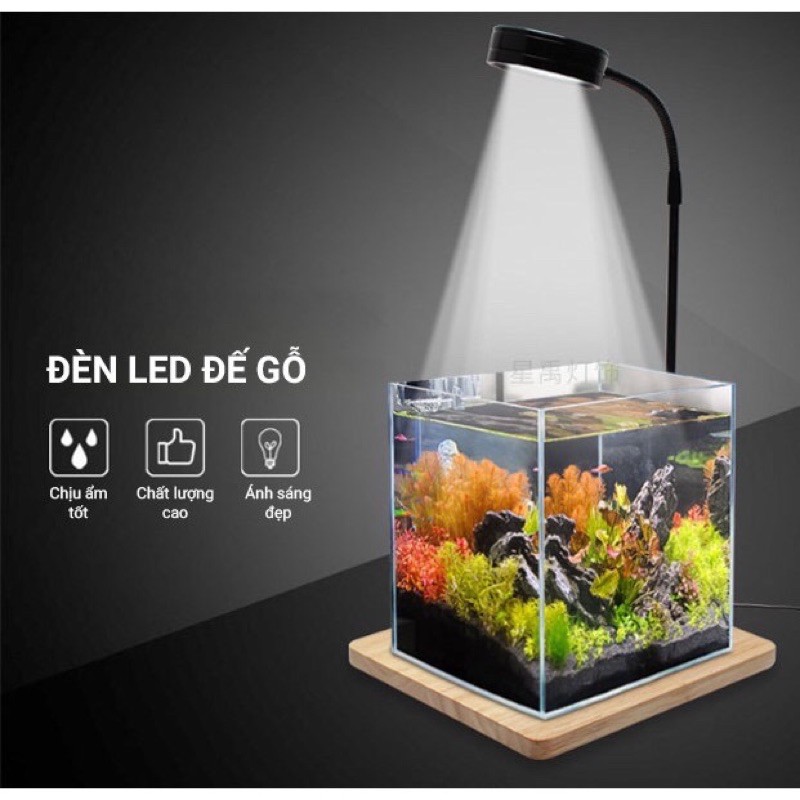 Đèn LED đế gỗ Terrarium để bàn cực đẹp