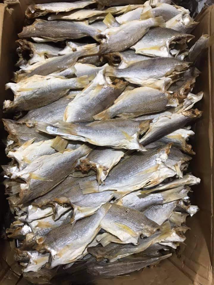 1kg CÁ ĐÙ KHÔ DAI NGON