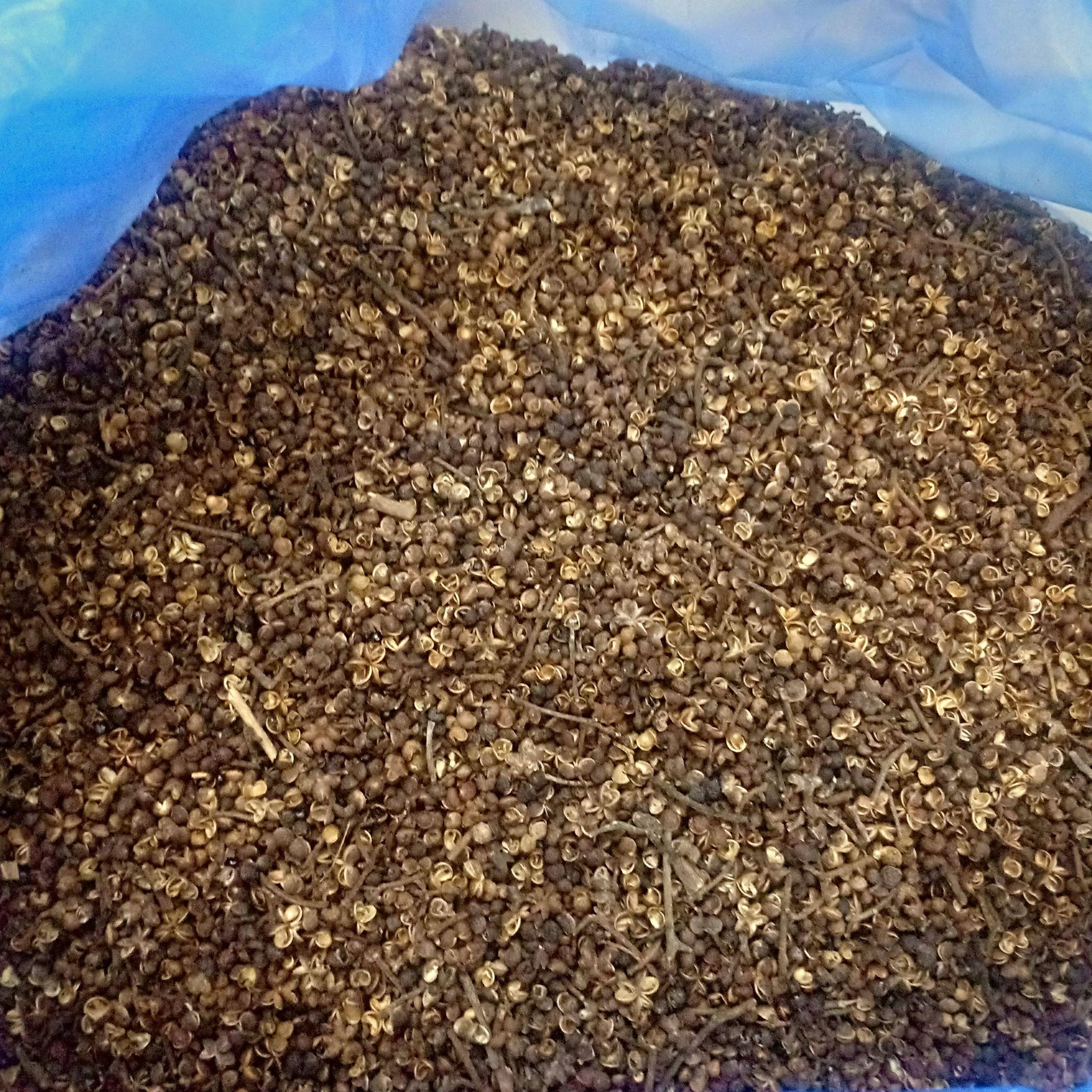 hạt mắc kén 100g