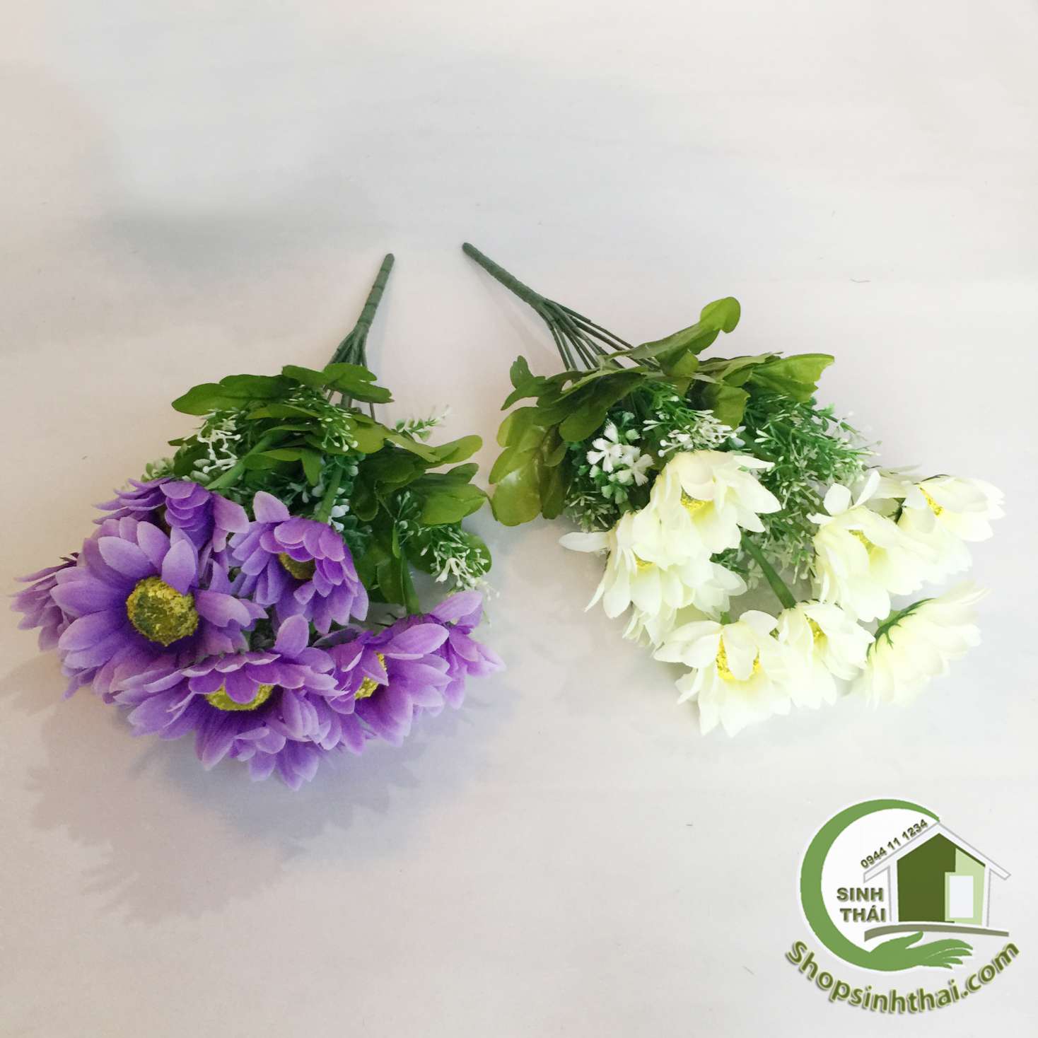 [HCM]Bụi hoa cúc thạch thảo - bụi cao 38cm - chọn màu