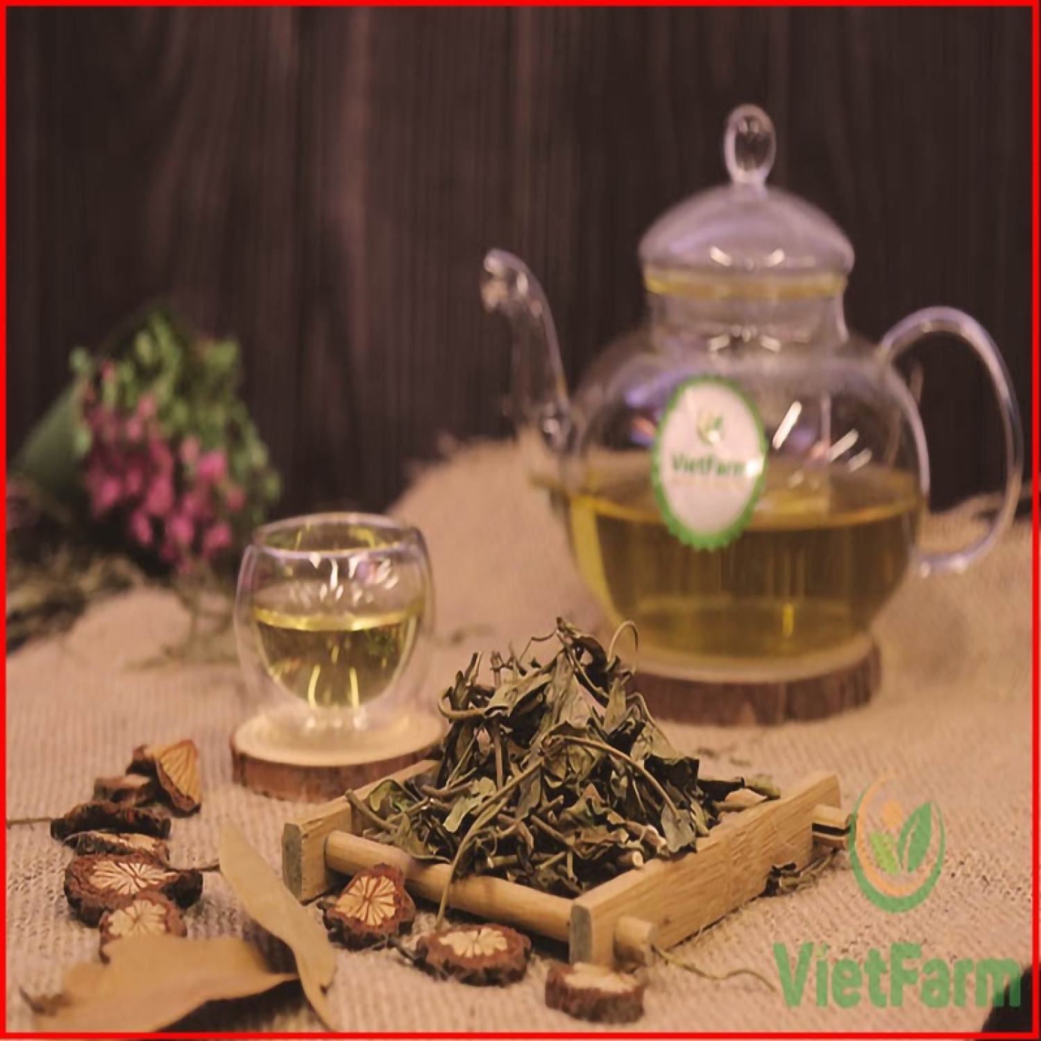 Trà Dây Thìa Canh Dành Cho Người Tiểu Đường HỘP 30 TÚI LỌC