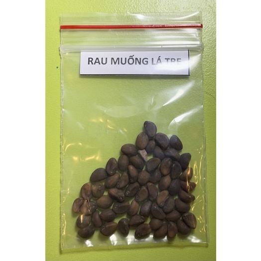 Hạt giống rau muống siêu ngọn Thái lan F1, Gói 50 Gram, Rau củ quả trồng sân thượng, tại vườn, ban công.