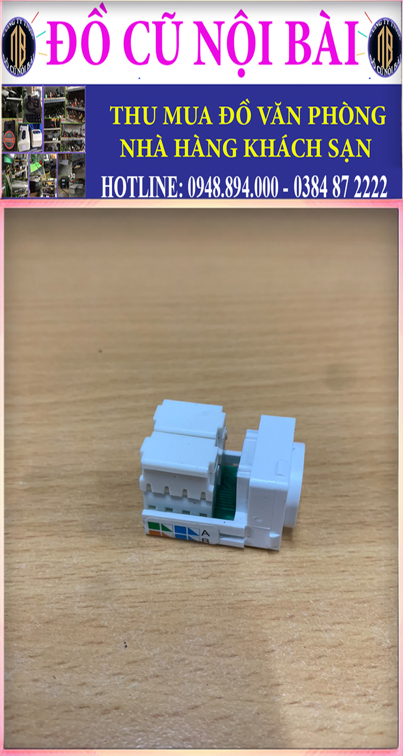 Nhân Mạng Âm Tường Cat5e - Hạt mạng WEV2488SW Panasonic, Vanlock, Commscope