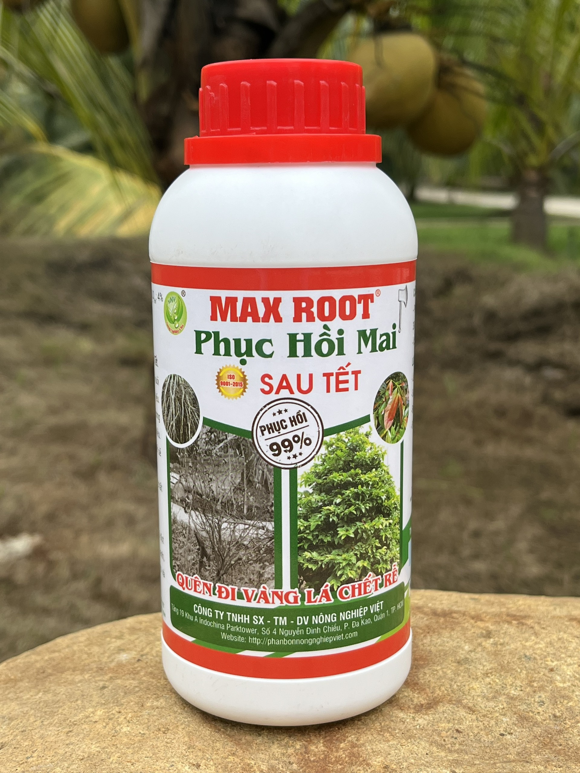 MAX ROOT _ PHỤC HỒI MAI SAU TẾT CHAI 500ML