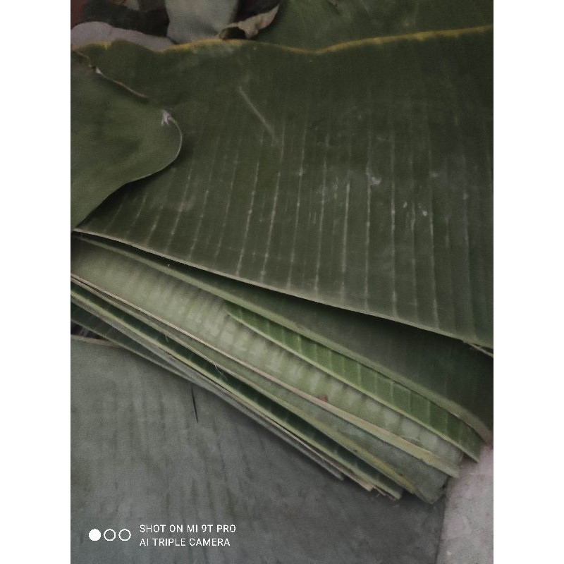 1kg lá chuối tươi. hàng luôn có sẵn