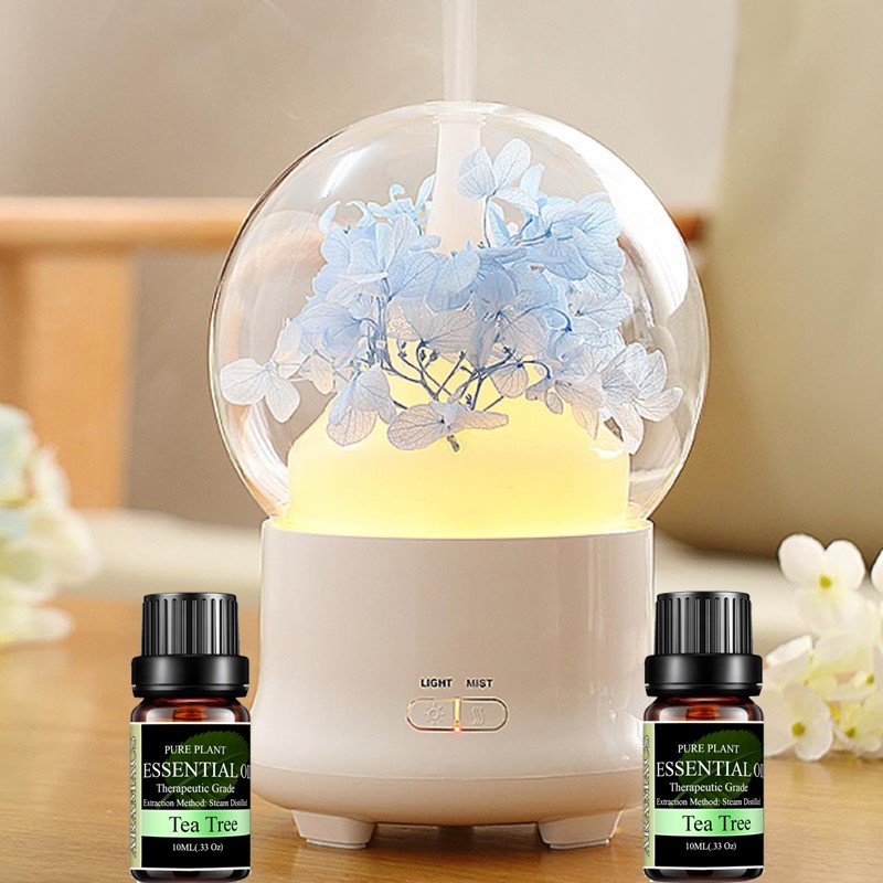 Tinh dầu Tràm Trà điều trị vết thương trị cảm cúm giảm đau nhức cơ thể mệt mỏi.