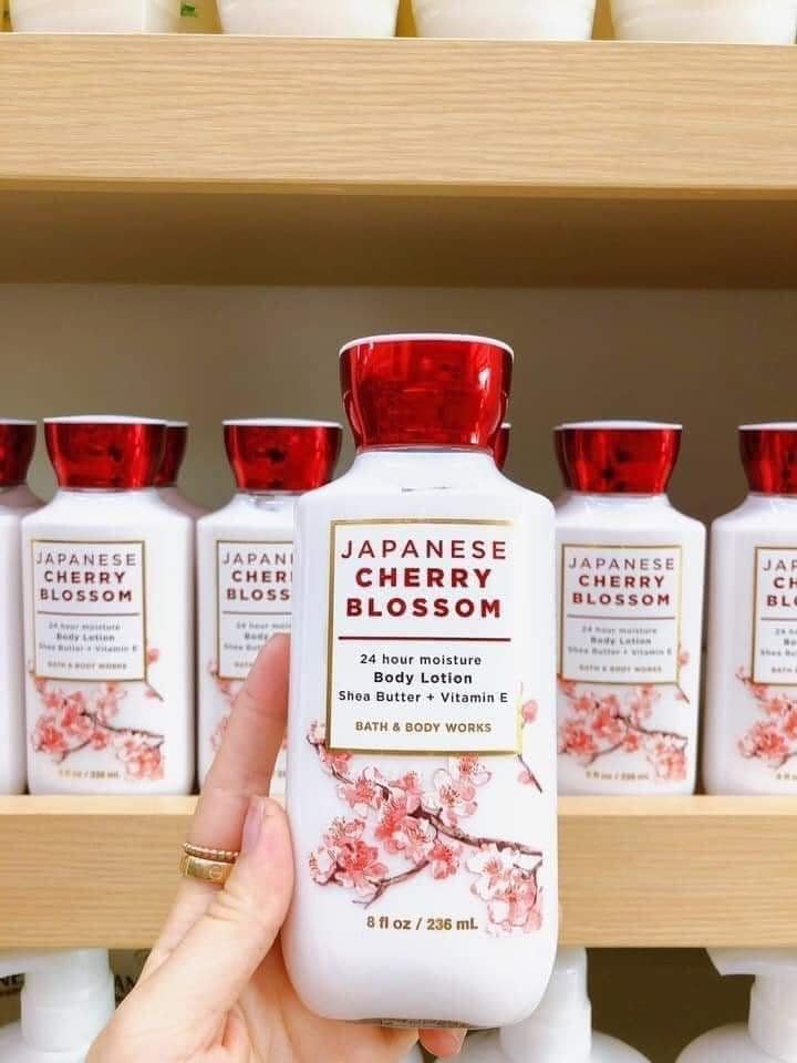 Dưỡng thể Bath & Body Work Japanese Cherry Blossom 8oz