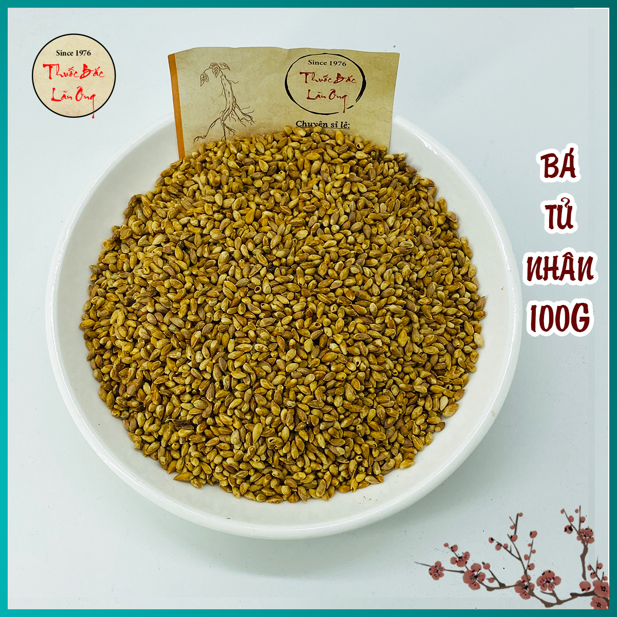 Bá tử nhân 100g hỗ trợ dưỡng tâm, an thần, nhuận táo, thông tiện