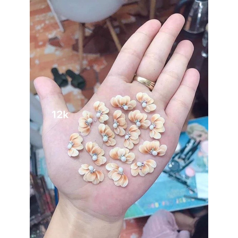 hoa bột cúc ruby