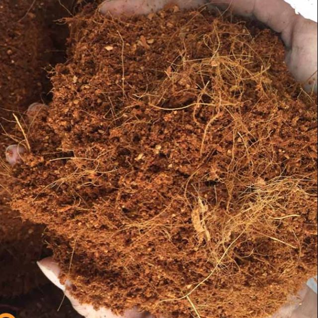 500G XƠ DỪA ƯƠM GIỐNG- TRỒNG CÂY