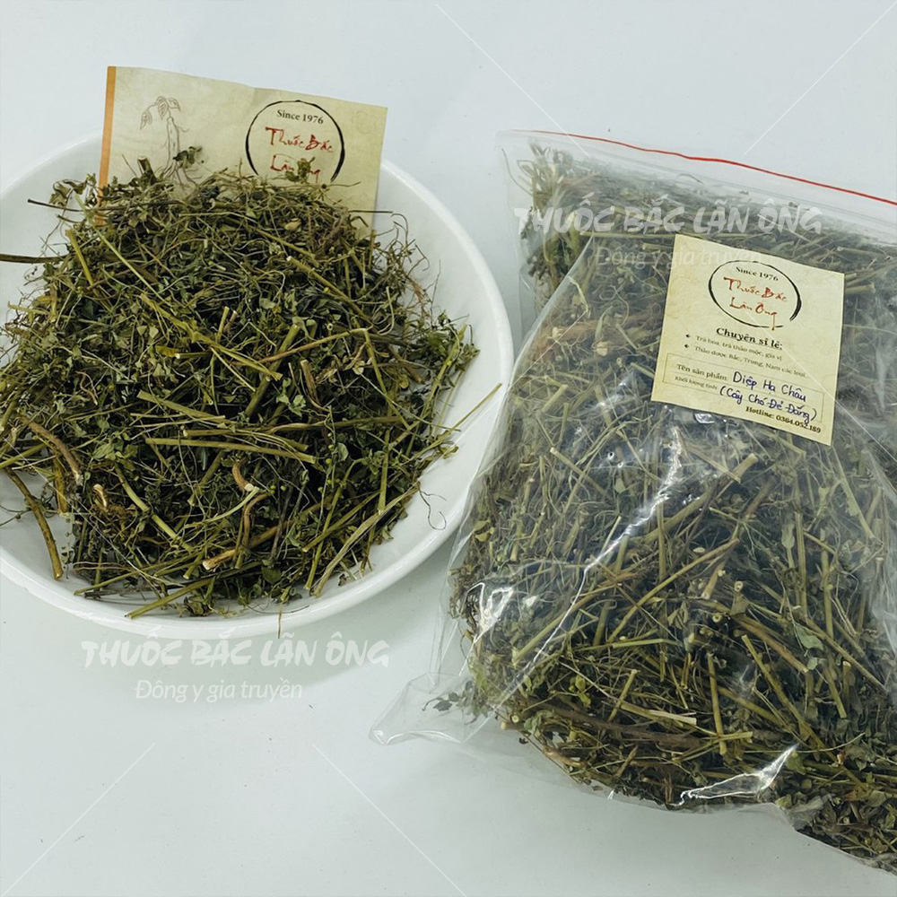 100g Chó Đẻ Đắng (Diệp Hạ Châu)