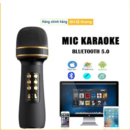 Micro không dây hát Karaoke kèm Loa Bluetooth WS-898