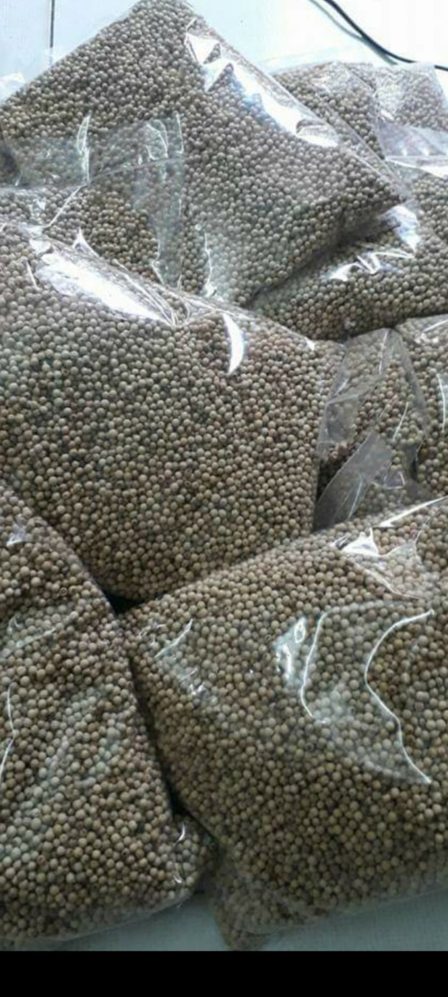 hạt tiêu sọ (tiêu trắng)