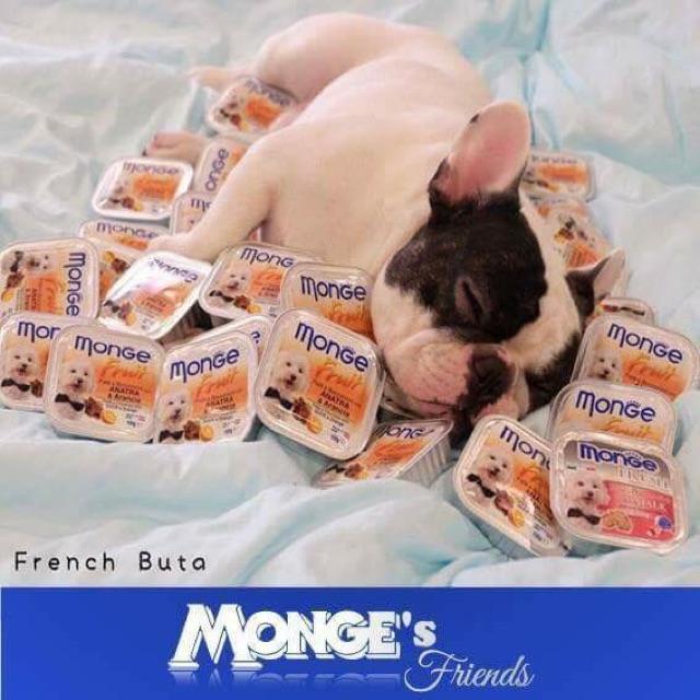 Pate Monge 🇮🇹💯% Made in Ý🇮🇹 cho chó mèo