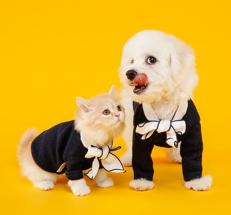 ĐÙI GÀ ĐỒ CHƠI CHO CHÓ BIẾT KÊU