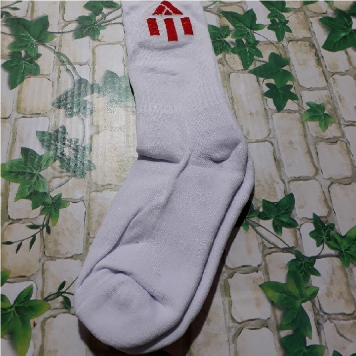 Tất dài đá bóng rẻ - đủ màu