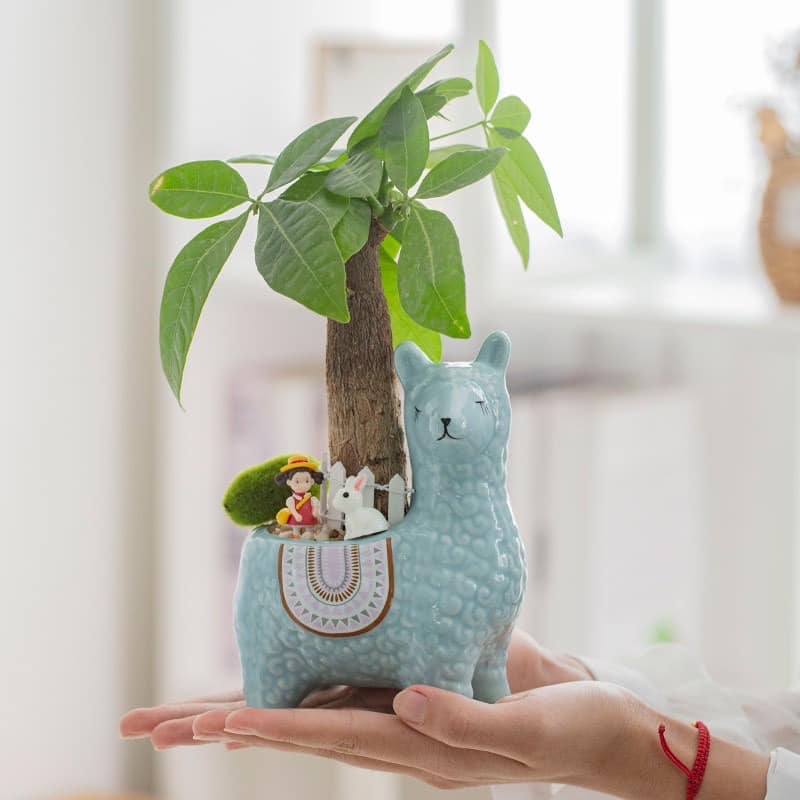 Chậu gốm lạc đà