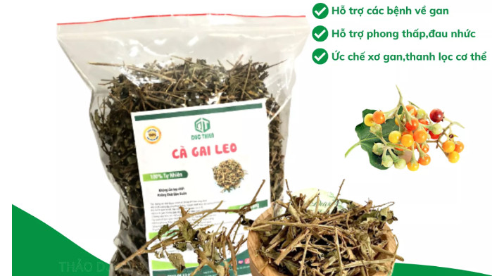 Bán sỉ- 2 kg cà gai leo khô-CAO CẤP
