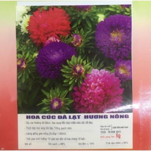 HẠT HOA CÚC ĐÀ LẠT - GÓI 5 GRAM