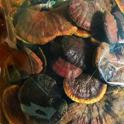 1kg nấm lim xanh