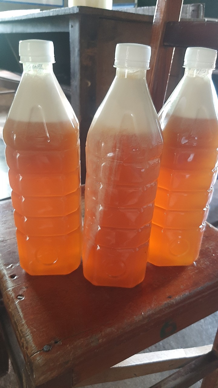 Mật ong từ hoa cà phê chai 1lit