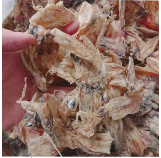 Khô mực chuối đặc sản sông đốc cà mau - vựa khô tú sương - 250gram/500gram/1kg