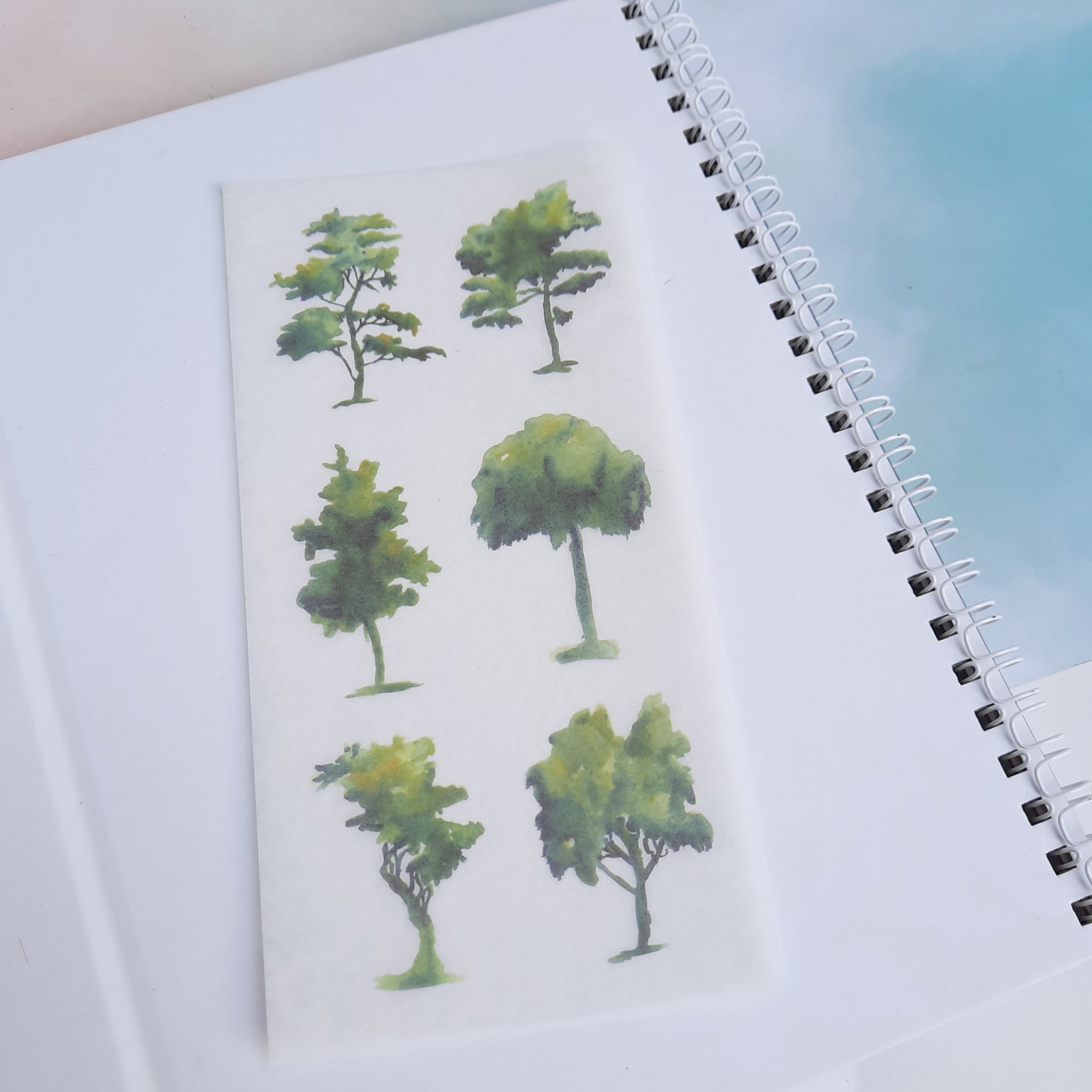 [HCM]Bộ 6 Tấm Sticker Cây Xanh