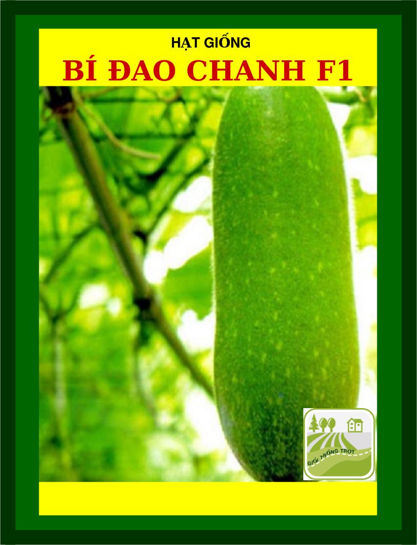 Hạt Giống Bí Đao Chanh F1 20 Hạt