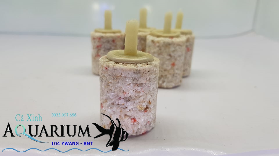 Combo 5 viên sủi oxi lớn siêu bền