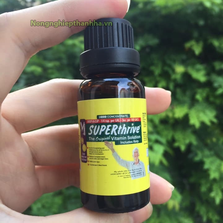 Hoocmon kích thích sinh trưởng Superthrive 20ml - T199