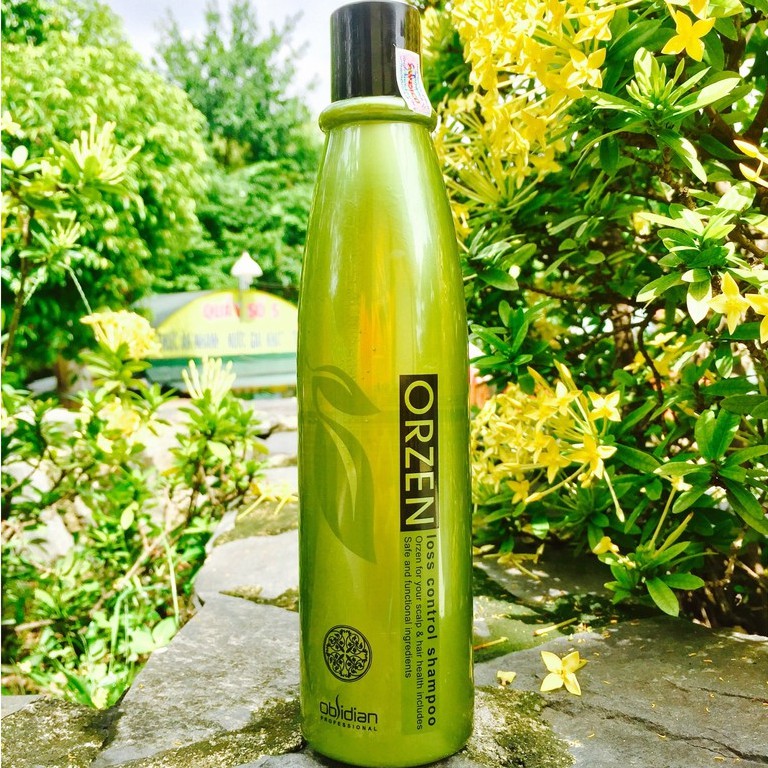 Dầu gội kích thích mọc tóc Orzen Loss Control Shampoo 320ml