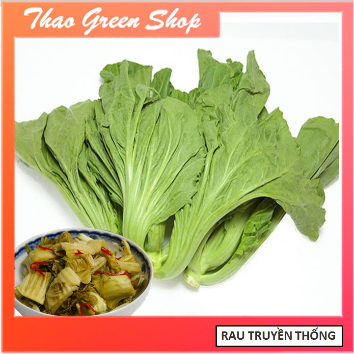 Hạt giống cải muối dưa 20gr