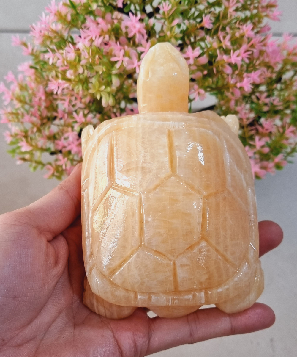 [HCM](Chọn màu) Cụ Rùa bằng đá tự nhiên size 12cm