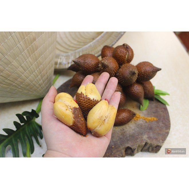CÂY GIỐNG MÂY THÁI,SIÊU QUẢ SIÊU NGON, SIÊU KINH TẾ