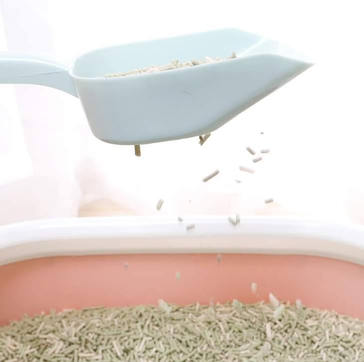 [Hoàn Tiền 10%] Xẻng hốt phân mèo 26cm