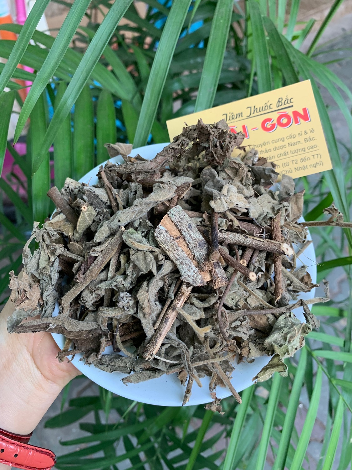 [HCM]CÂY AN XOA 500GRAM Tiệm Thuốc Bắc Sài Gòn