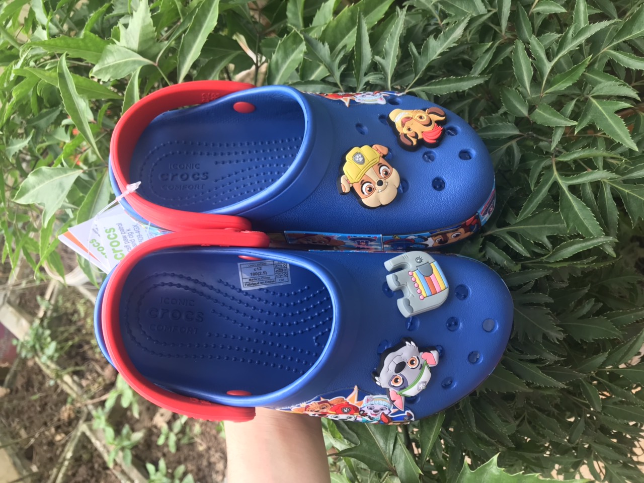SỤC TRẺ EM CROCS- IN HÌNH 3D CHÓ CỨU HỘ