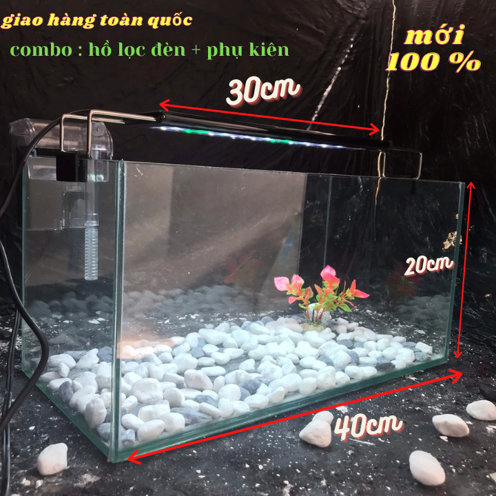 Bể cá mini 40cm COMBO đầy đủ dành cho nuôi cá cảnh để bàn