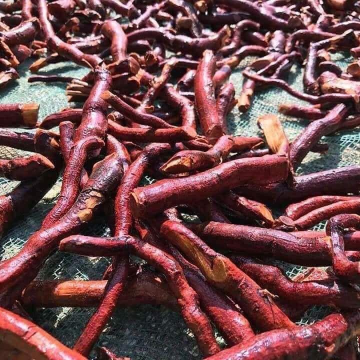 cây mú từn khô 1kg