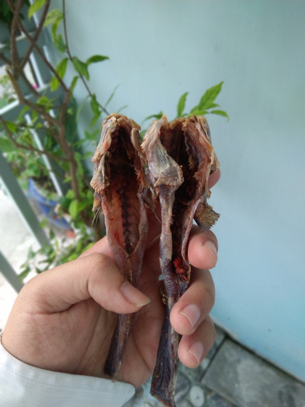 Khô cá thòi lòi- đặc sản cà mau thơm ngon. kl: 1 kg