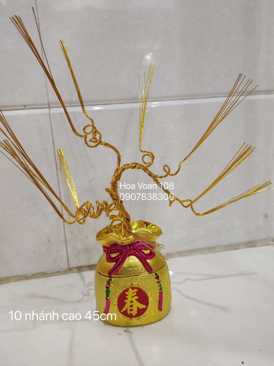 Gốc cây kim tiền( thỏi vàng +gốc)