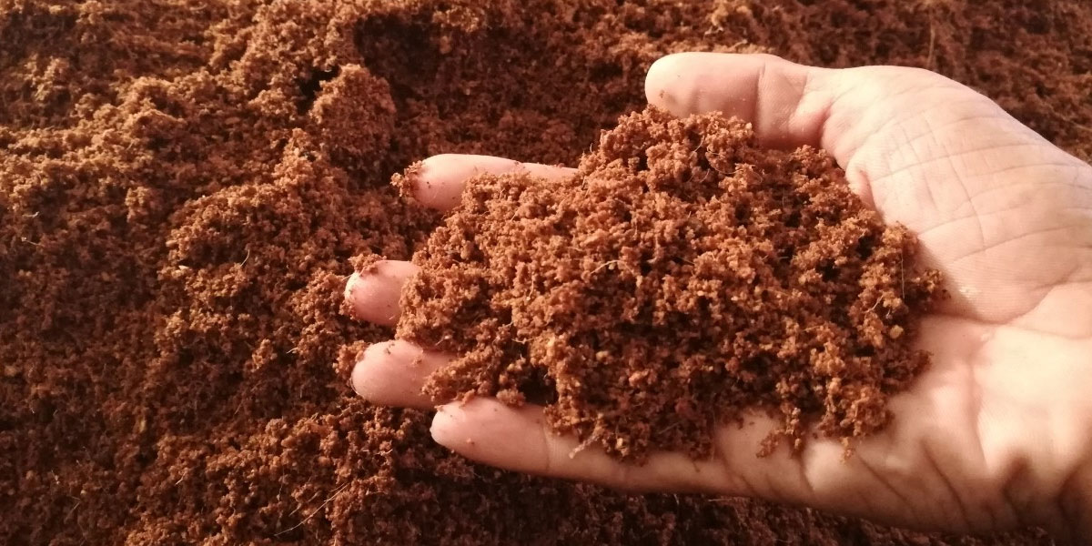 XƠ DỪA ĐÃ QUA XỬ LÝ gói 1kg