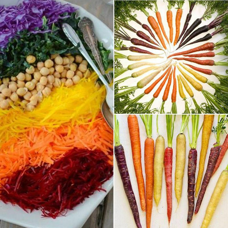 Rainbow carrot seeds - Sale Off