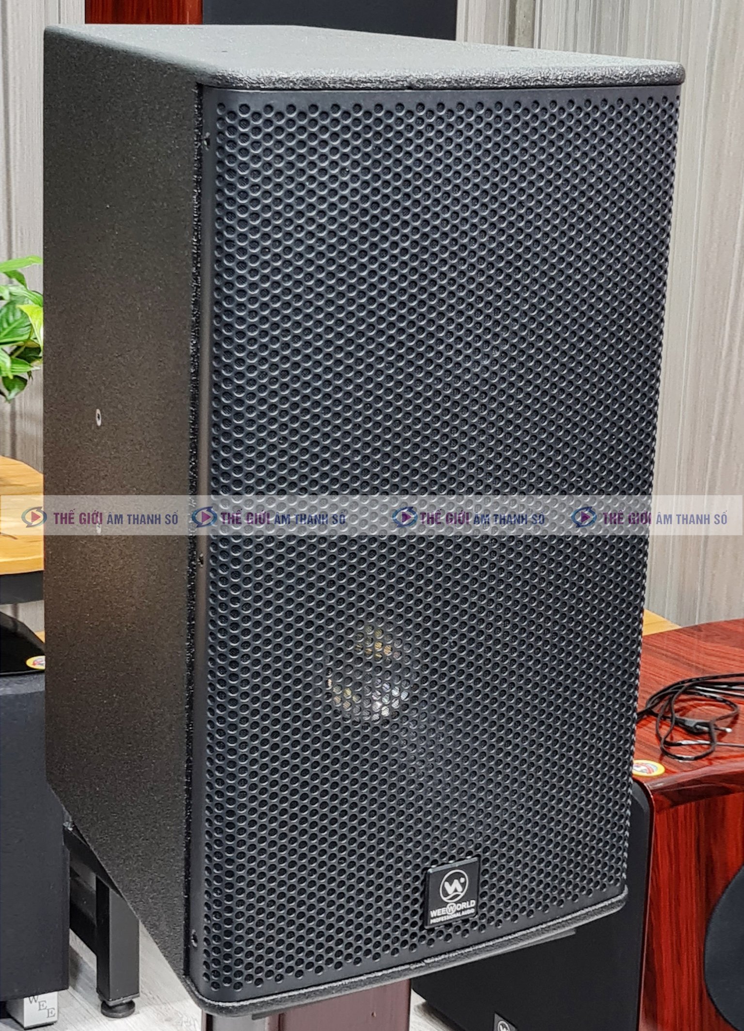 Loa Toàn Dải Weeworld D12